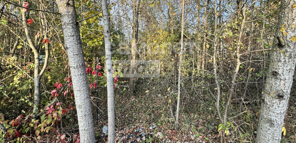 земля г Солнечногорск Зеленоград — Крюково, городской округ Солнечногорск фото 12