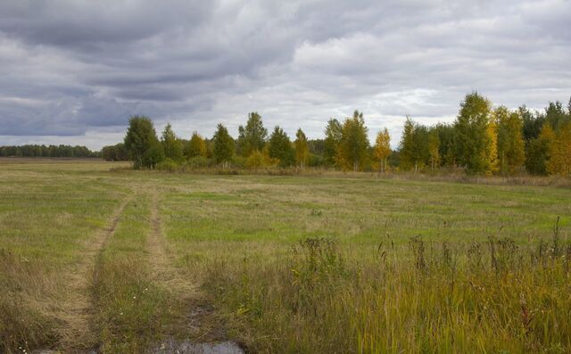 земля Сошкинский сельсовет, Липецк фото