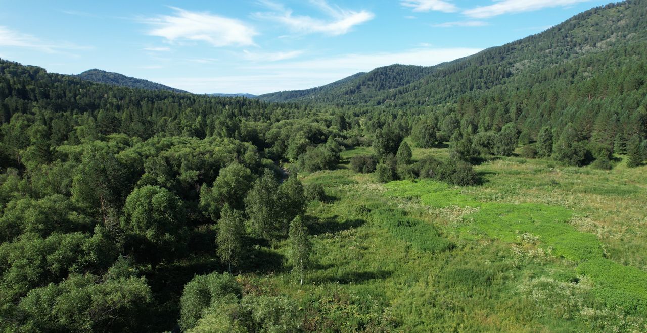 земля р-н Чойский с Кара-Торбок Горно-Алтайск фото 1