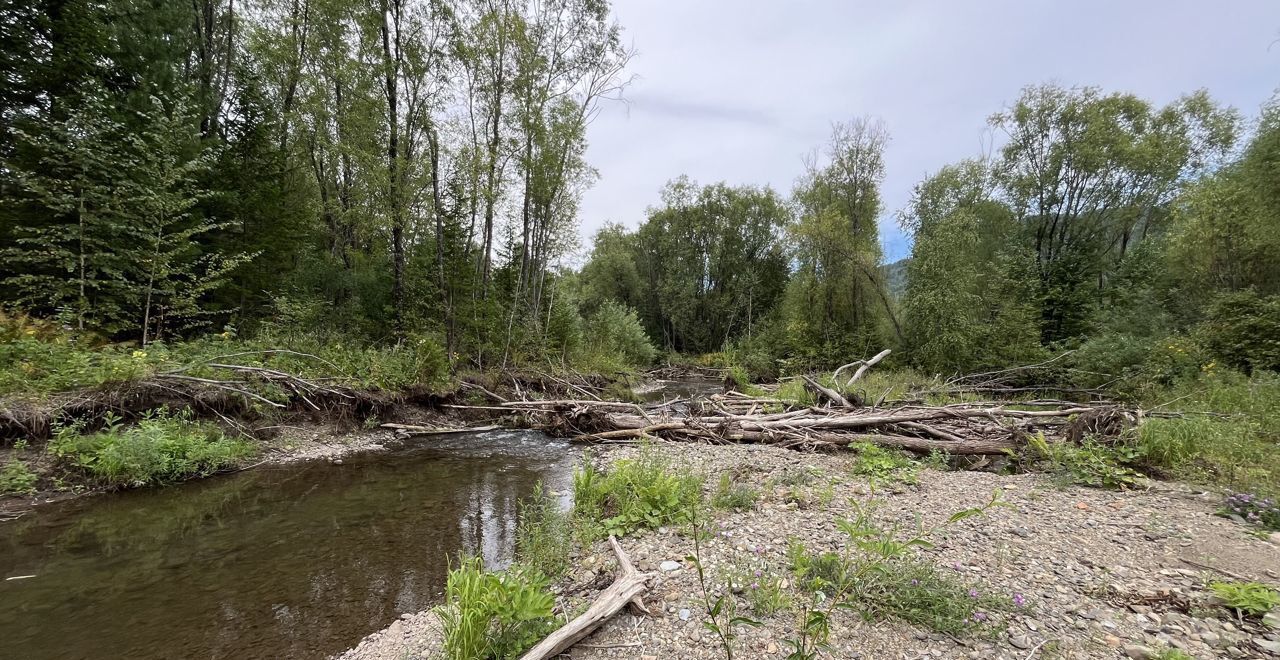 земля р-н Чойский с Кара-Торбок Горно-Алтайск фото 30