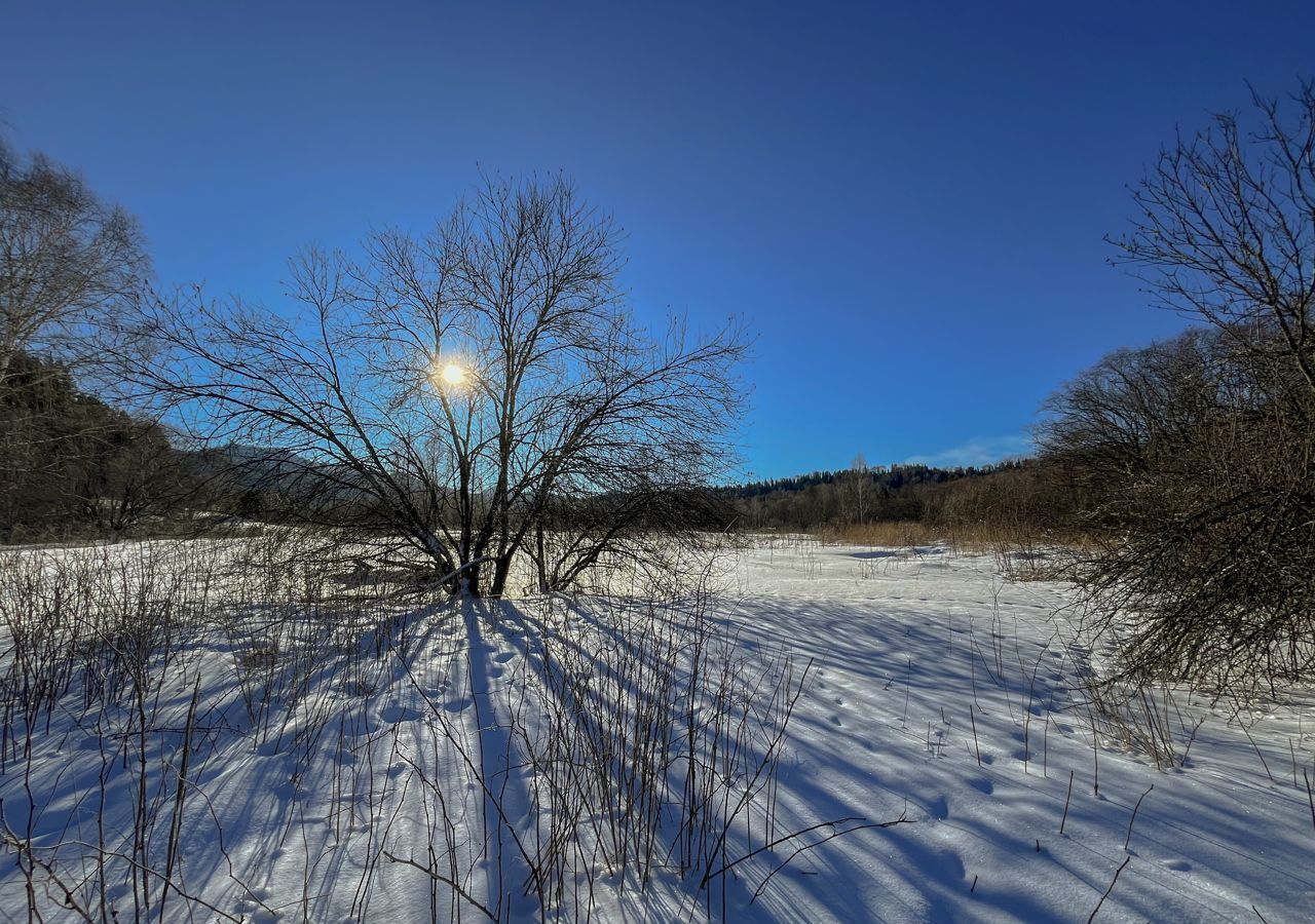 земля р-н Чойский с Кара-Торбок Горно-Алтайск фото 31