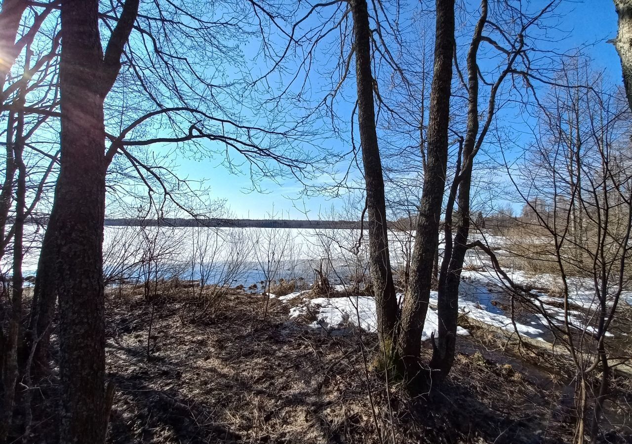 земля р-н Валдайский д Большое Городно Ивантеевское сельское поселение, 24А, Валдай фото 10