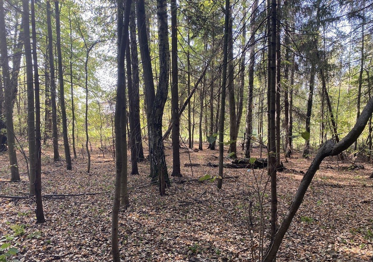 земля городской округ Наро-Фоминский д Обухово 10627 км, Кубинка, Минское шоссе фото 20