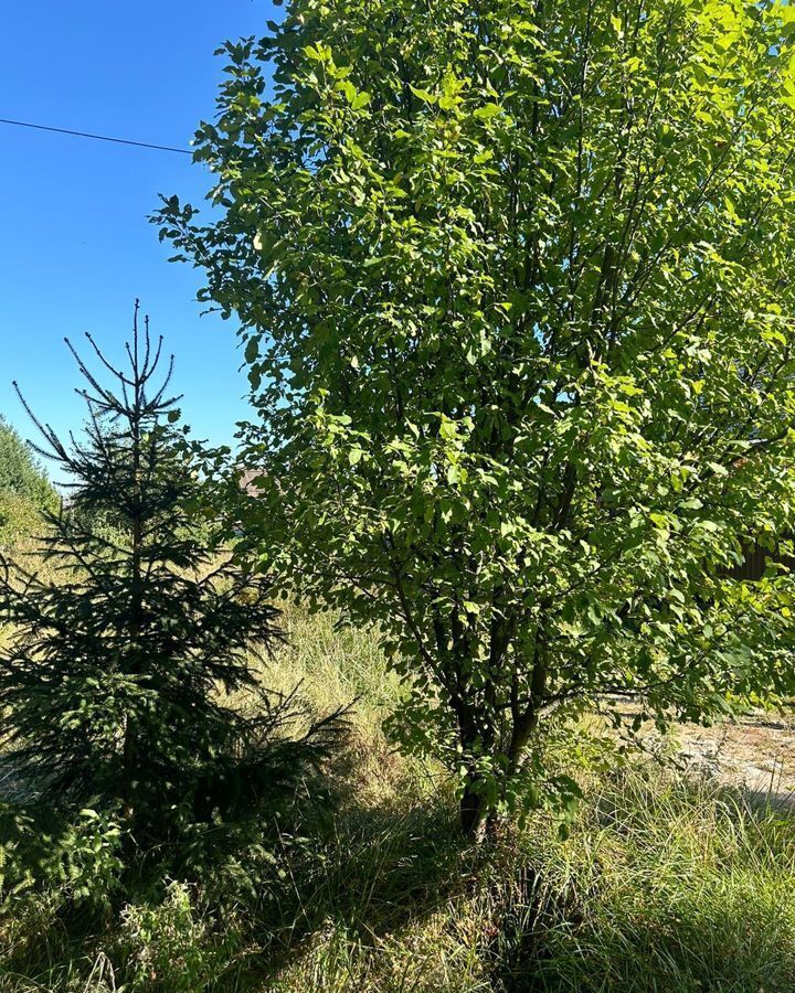 земля городской округ Наро-Фоминский д Селятино ул Шоссейная 9758 км, Селятино, Киевское шоссе фото 10