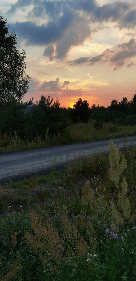 земля городской округ Раменский 9753 км, коттеджный пос. Дергаево-2, Ореховая ул, Раменское, Егорьевское шоссе фото 2