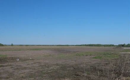 земля р-н Лаишевский с Столбище ул Петра Гусева 1 Столбищенское сельское поселение фото 1