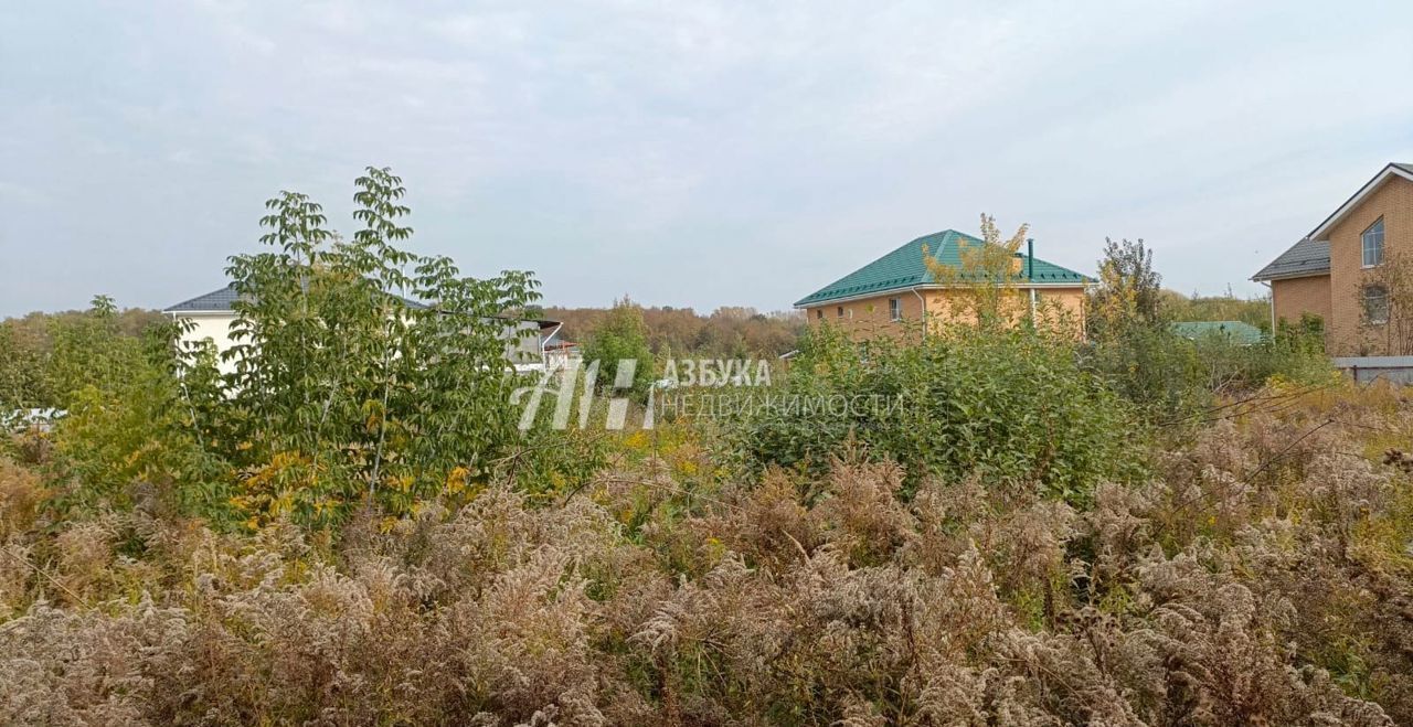 земля городской округ Ленинский п Горки Ленинские 9735 км, Луговая ул, Домодедово, Новокаширское шоссе фото 2