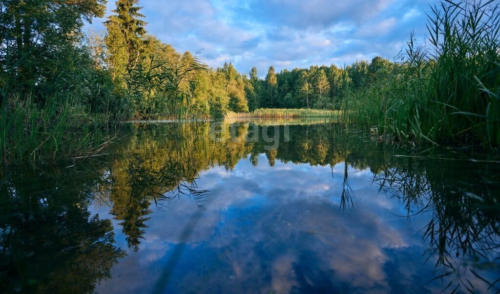 земля р-н Калининский д Шалайково улица Берёзовая Аллея фото 6