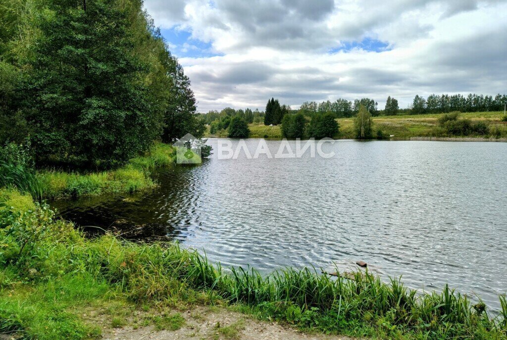 земля р-н Богородский с Спирино ул Широкая фото 20