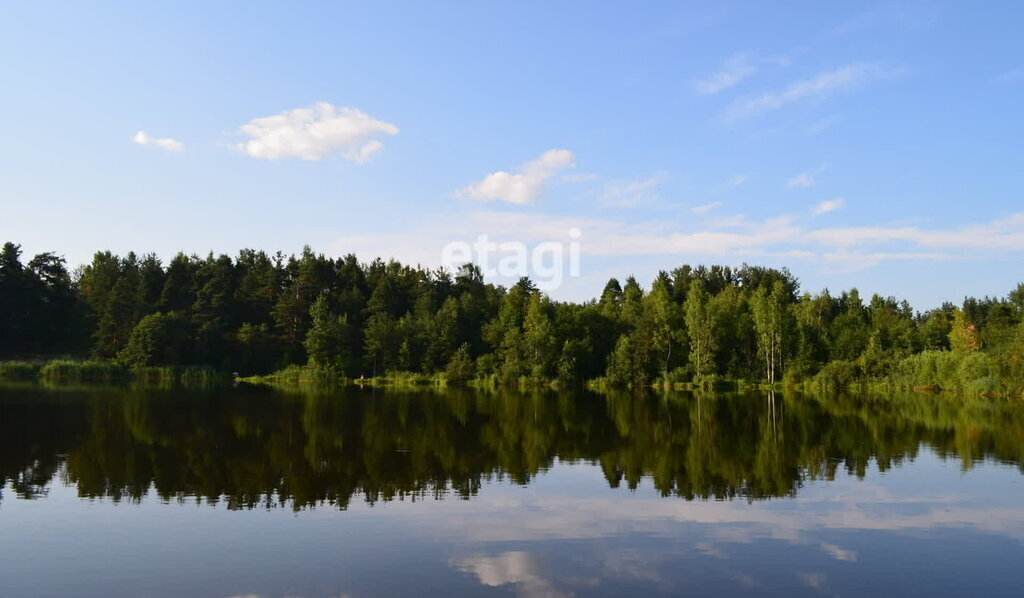 земля р-н Киришский городской посёлок Будогощь фото 30