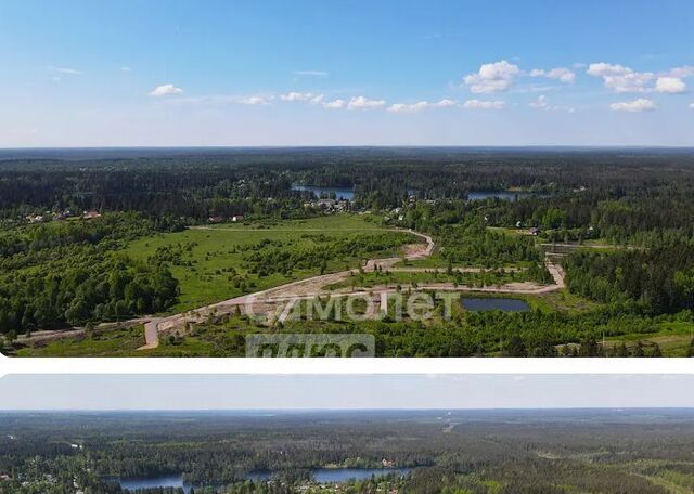 Рощинское городское поселение, Лебяжье тер фото