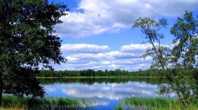 8, Аннинское городское поселение фото