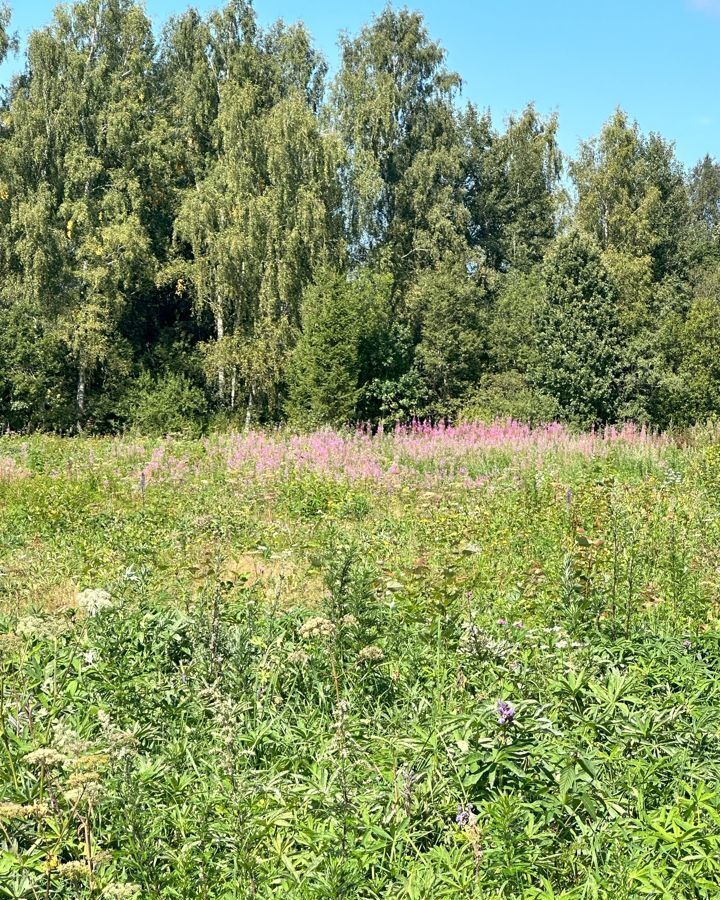 земля городской округ Клин д Вертково 9792 км, Новопетровское, Новорижское шоссе фото 31