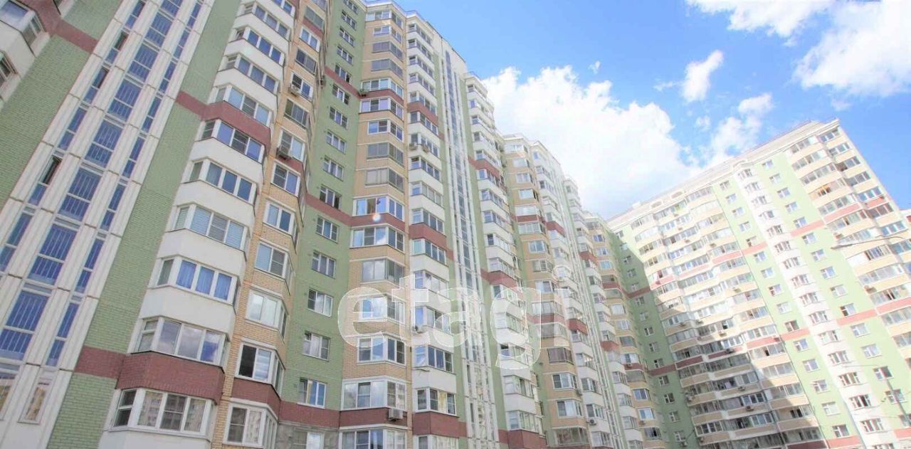 квартира г Москва п Внуковское ул Лётчика Грицевца 12 Пыхтино фото 10