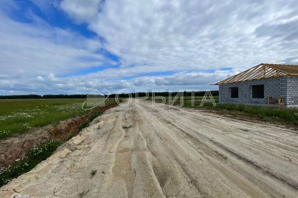 земля р-н Тюменский ДПК Новокаменский, Нобелевская фото 2