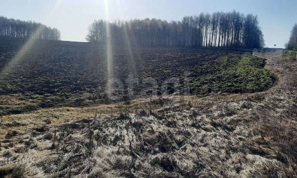 земля р-н Ирбитский д Большой Камыш ул Уральская фото 4