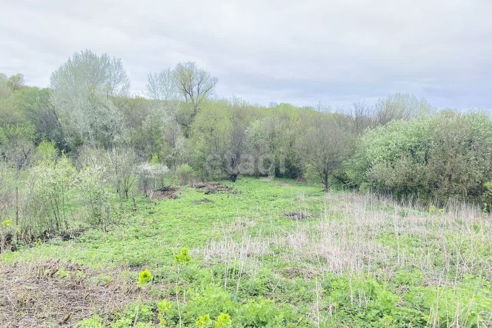 земля р-н Семилукский село Гудовка фото 3