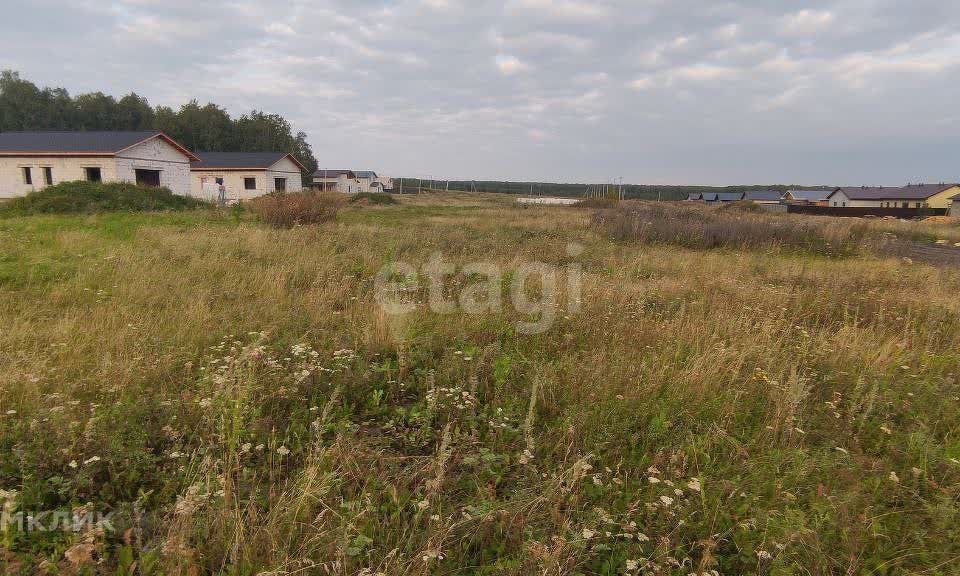 земля р-н Сосновский село Большие Харлуши фото 2