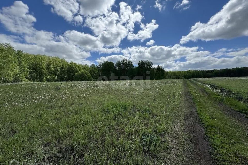 земля р-н Тюменский с Кулига коттеджный посёлок Заповедный фото 2