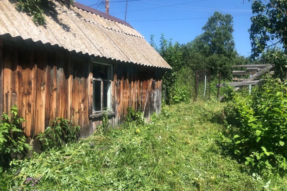 земля г Горно-Алтайск городской округ Горно-Алтайск, СНТ Динамо фото 6