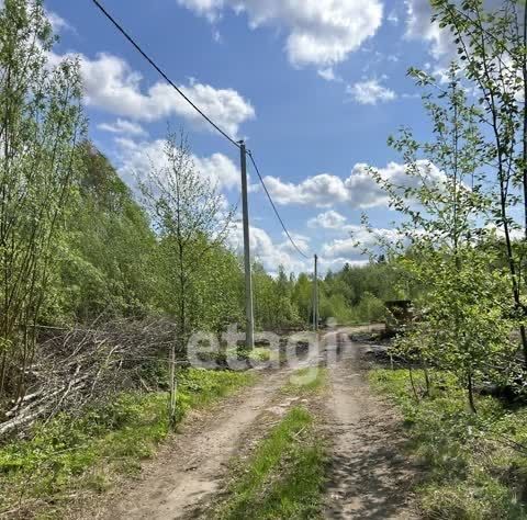 земля р-н Пинежский д. Заозерье Труфаногорский сельсовет фото 5