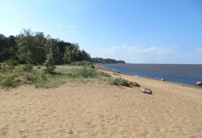 дом р-н Ломоносовский п Лебяжье Лебяженское городское поселение, городской пос. Лебяжье, коттеджный пос. Возрождение, Лазурная ул., 5 фото 8