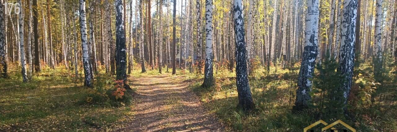 земля г Полевской п Станционный-Полевской фото 8