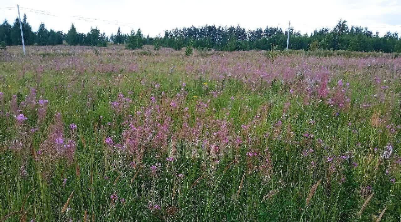 земля р-н Старомайнский рп Старая Майна ул Симбирская фото 2