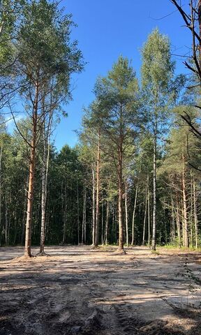 ул Восточная Мурманское шоссе, 9763 км, Синявинское городское поселение, городской пос. Синявино фото