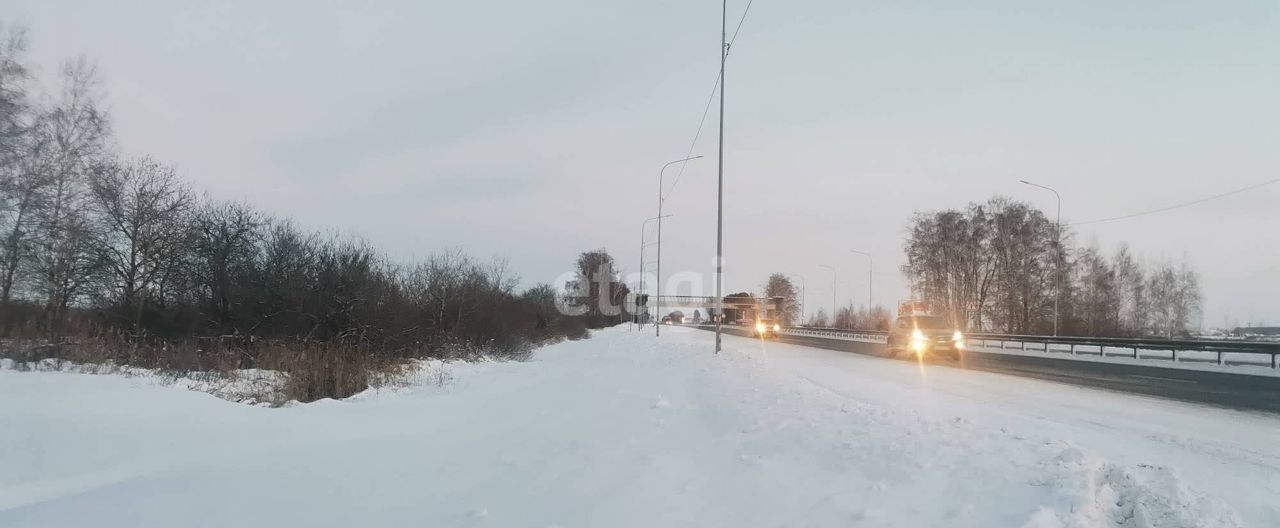 земля г Тюмень р-н Ленинский снт Яровское Сливовая ул., 19 фото 1