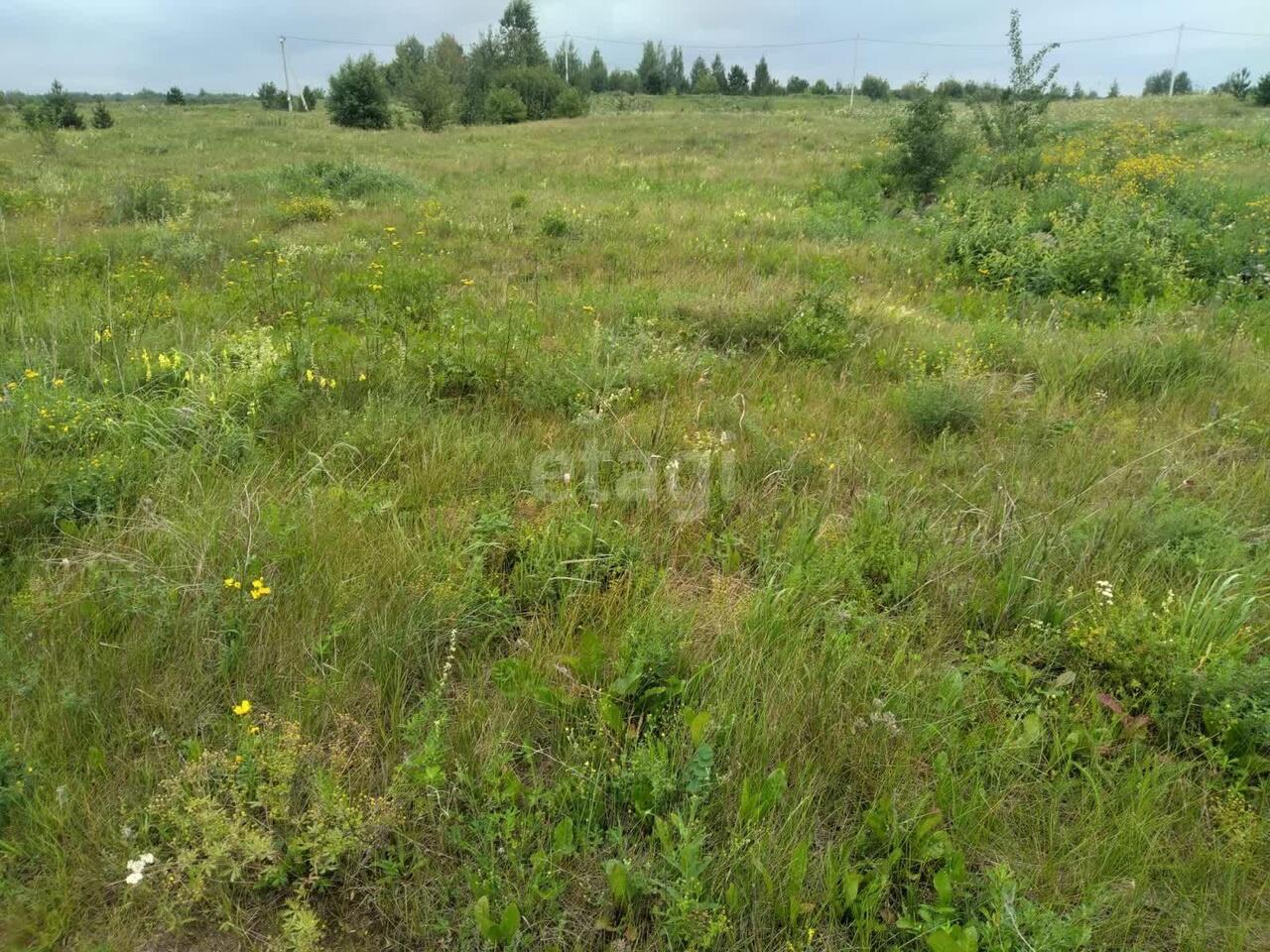 земля г Камышлов Журавлиная фото 8