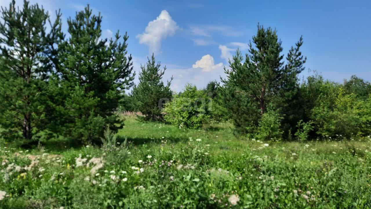 земля г Камышлов фото 4