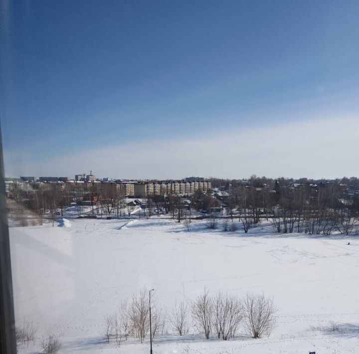 квартира р-н Новомосковский г Новомосковск ул Донская 6ак/2 фото 17