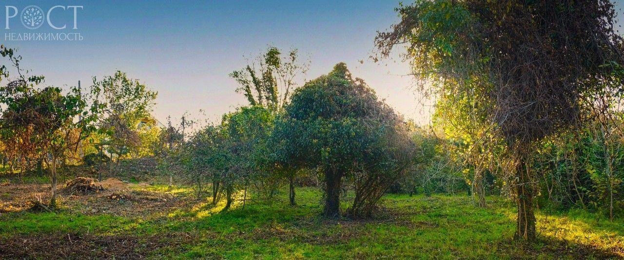 земля г Сочи с Верхнеармянское Лоо пер. Фундучный фото 9