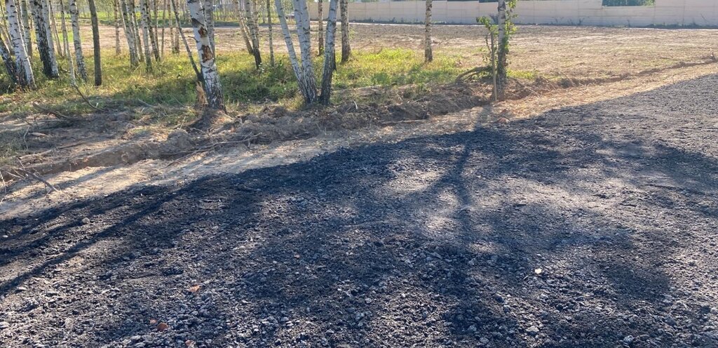 земля городской округ Дмитровский рп Деденево Лобня фото 14