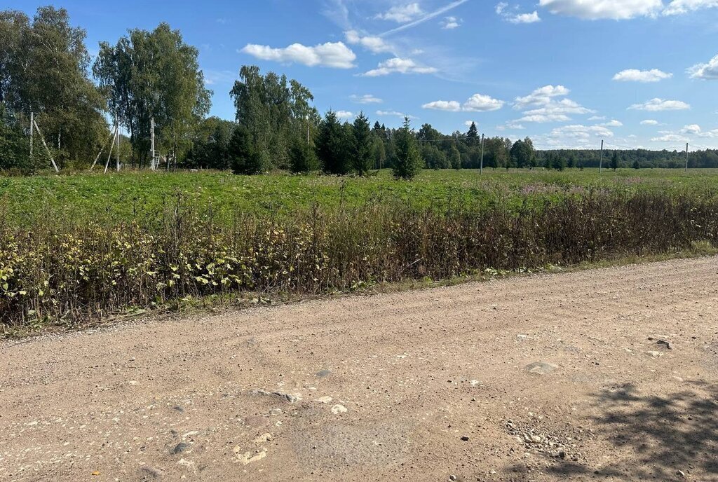 земля городской округ Клин п Нудоль фото 4