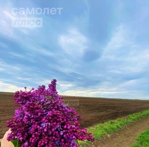 земля Ивановский сельсовет фото