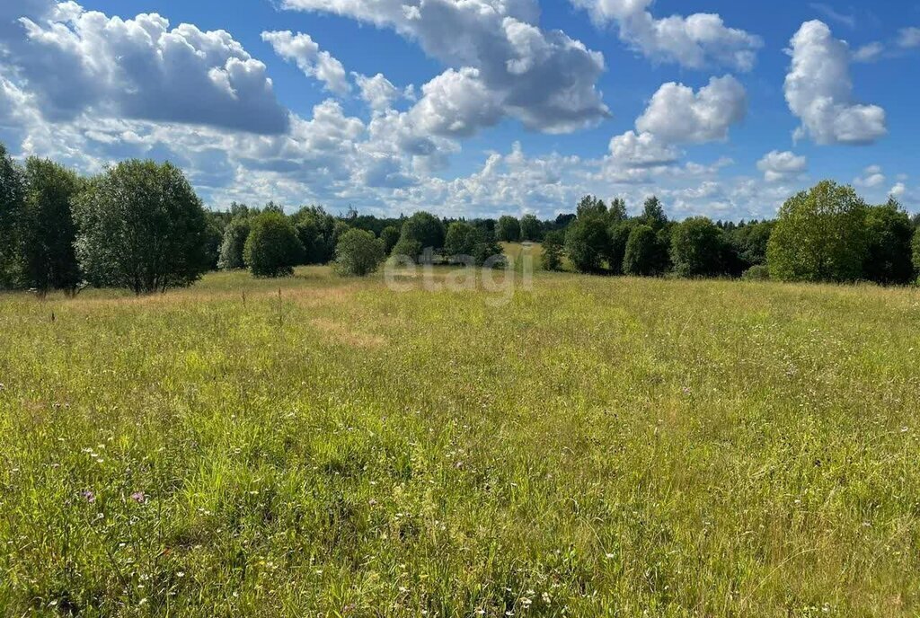 земля р-н Боровичский г Боровичи городское поселение Боровичи фото 6