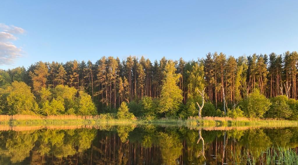 дом р-н Конаковский д Гаврилково фото 40