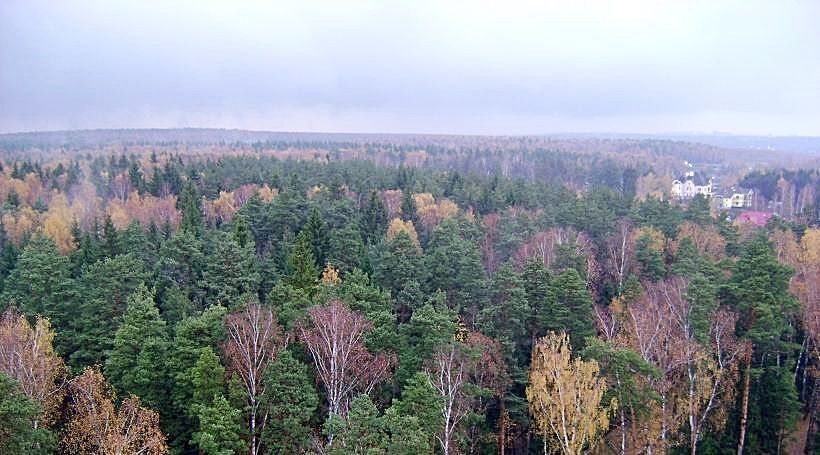 квартира городской округ Домодедово д Одинцово территория Бор Подольск, 10 фото 28