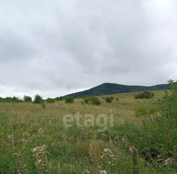 земля р-н Алтайский п Даниловка ул Алтайская фото 18