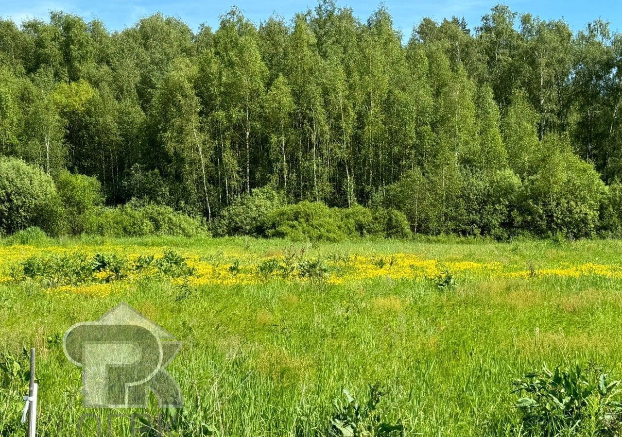 земля направление Павелецкое (юго-восток) ш Новокаширское 9749 км, коттеджный пос. Бор, Домодедово фото 1