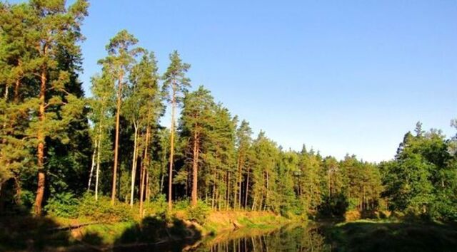 земля муниципальное образование, Уршельский фото