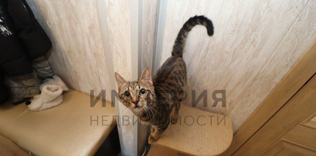 квартира г Магадан ул Набережная реки Магаданки 83 фото 11
