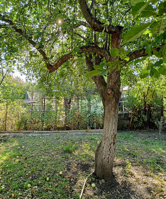 дом г Саратов р-н Октябрьский СНТ Кумысная Поляна - Сосновая Роща фото 27