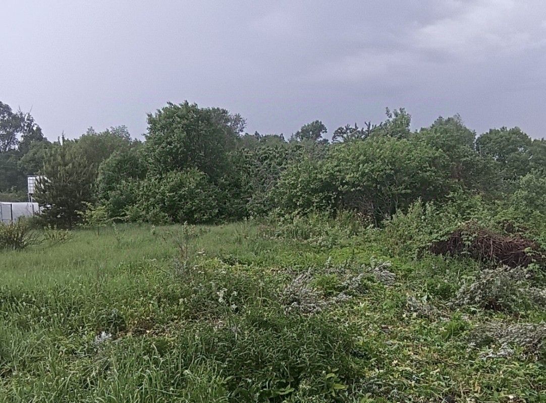 дом городской округ Воскресенск д Щербово 53 фото 7