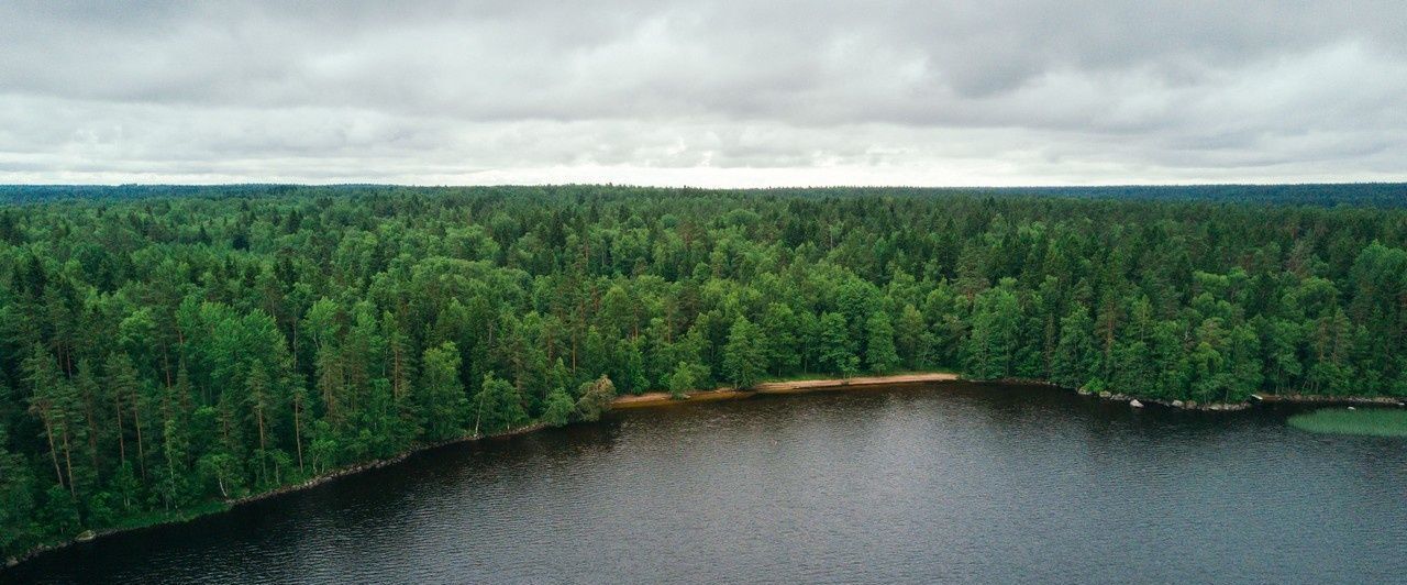 земля р-н Выборгский Приморское городское поселение, Сосновый пляж кп фото 50