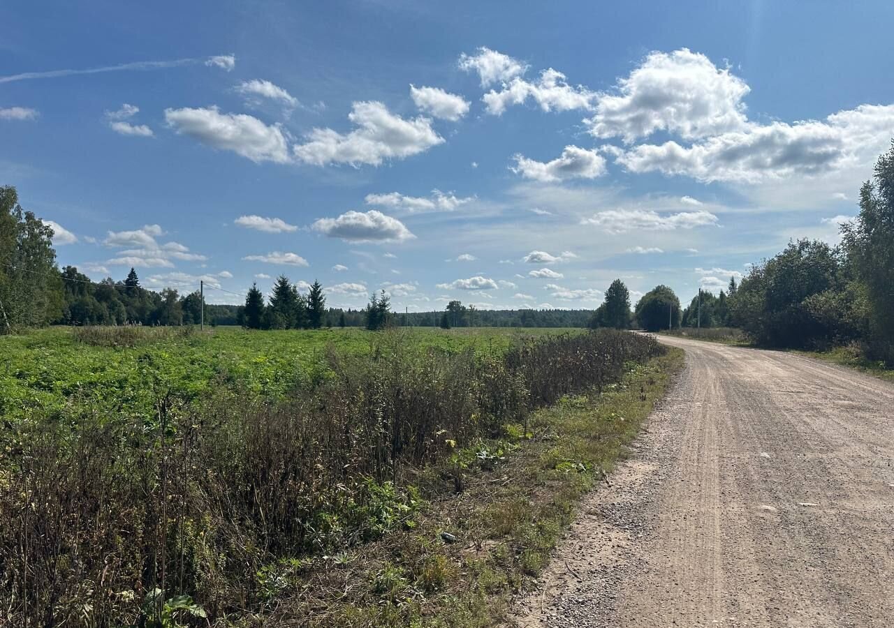 земля городской округ Клин д Тиликтино 9780 км, Новопетровское, Ленинградское шоссе фото 15