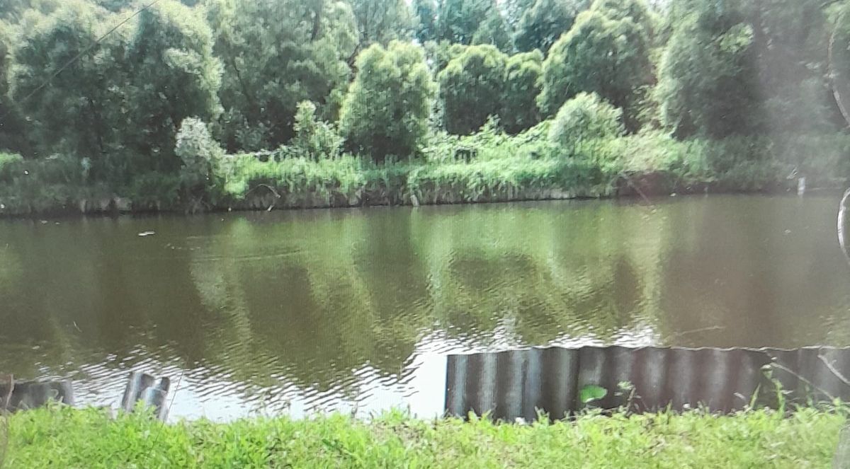 дом р-н Выгоничский д Мякишево ул Сельская Выгоничское городское поселение фото 1