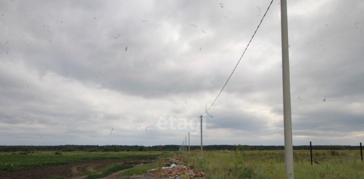 земля р-н Тюменский тер ДНТ Воскресенье 1 ул Светлая фото 7